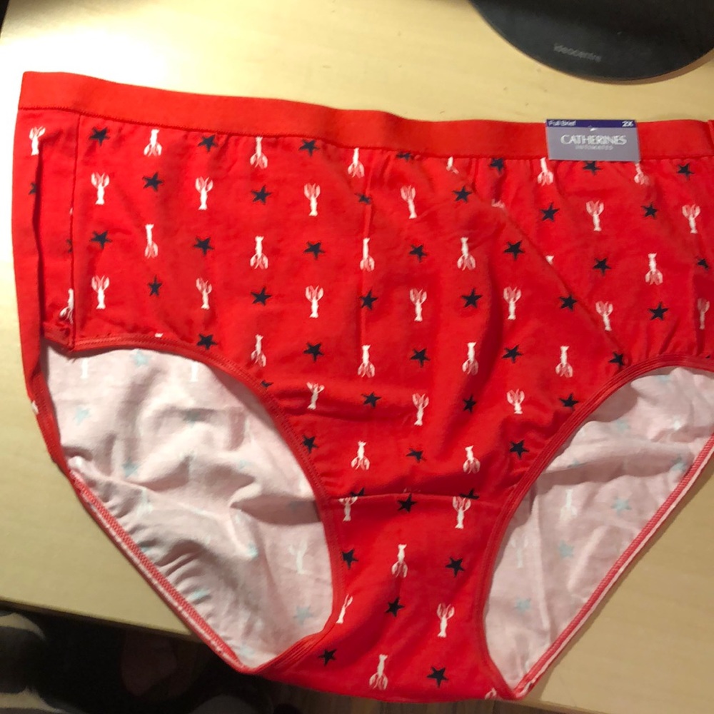 Catherines Intimates NWT brief